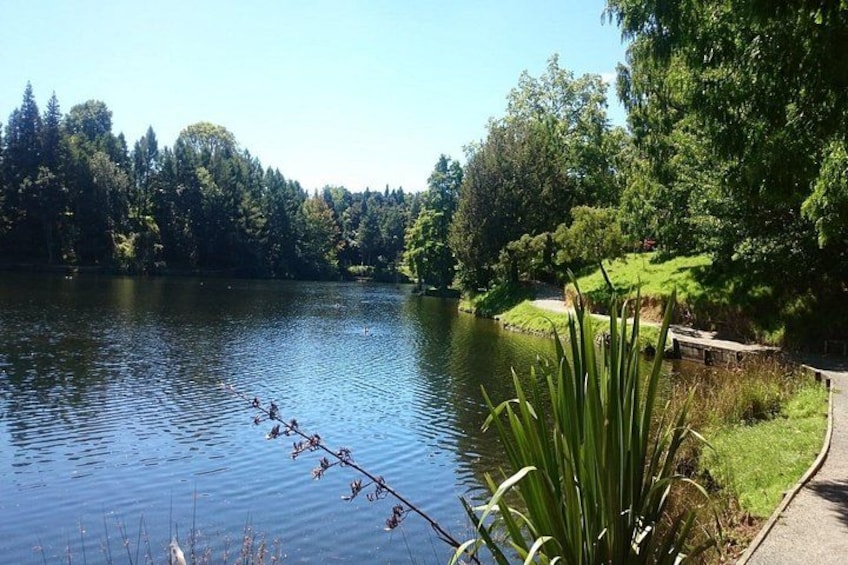 A calm lake surrounded by trees and a walking path. 5