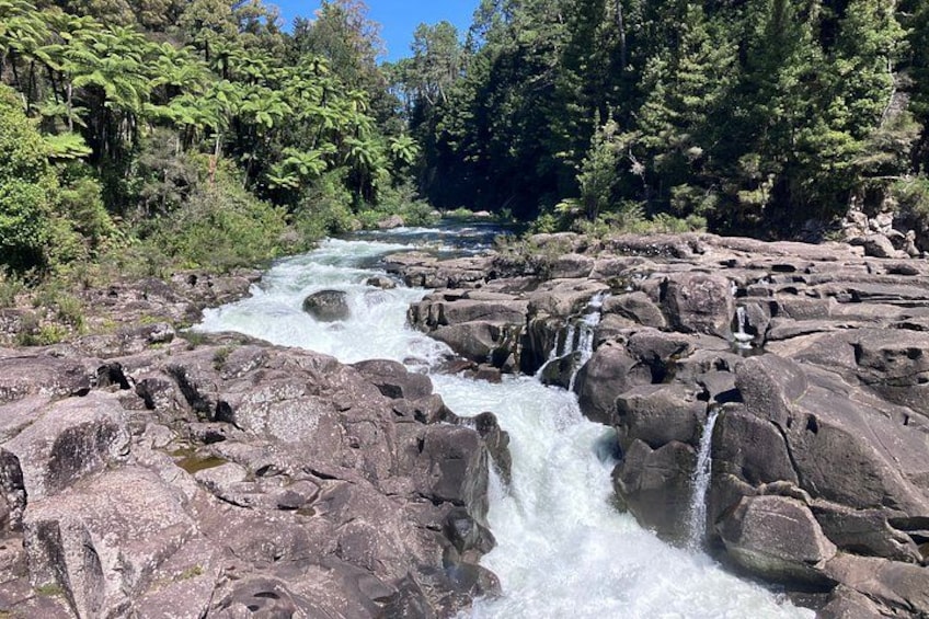 A river flowing over rocks, surrounded by dense forest. 4