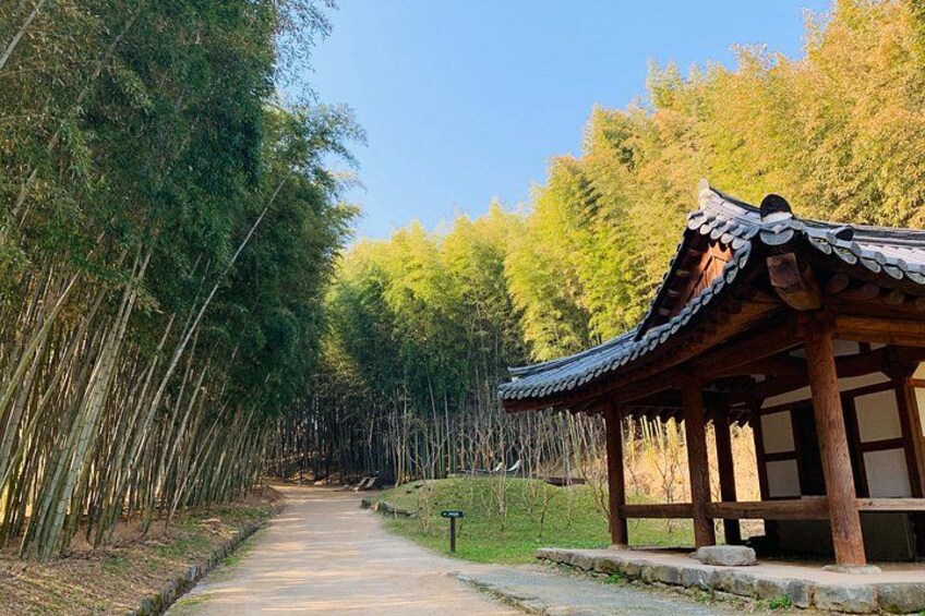 Damyang Bamboo Forest & Traditional Food Tour (Private) 1