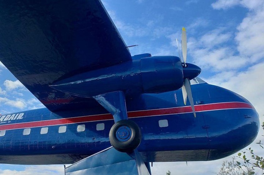 A blue airplane with a propeller, a red stripe, and the word 'ROGUE' on its side. 4