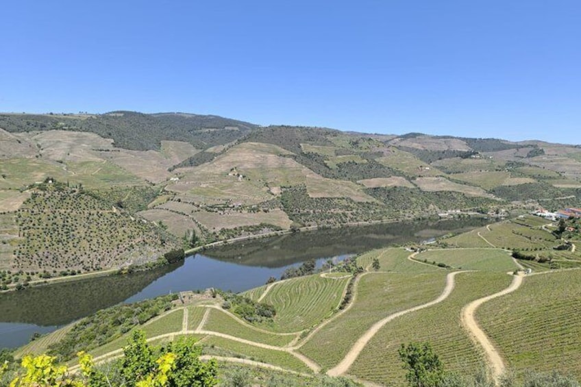 Half-Day Douro Valley Tour with Winery Lunch & River Cruise 2