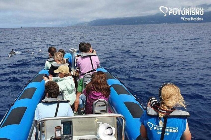 Our zodiac boat 2