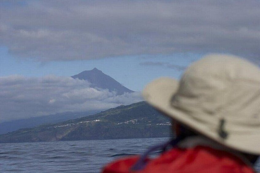 Whale watching in Pico island in front of Pico Mountain 3