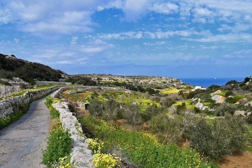 A stone pathway winding through a hilly landscape with scattered vegetation and a distant view of the sea. 2