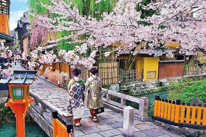Kyoto Gion Geisha Secrets - 5 Star Walking Tour & Kyoto Snack 2