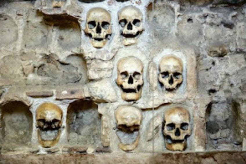 Una pared con múltiples cráneos incrustados. 5