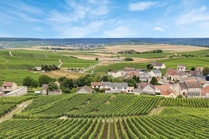 A vineyard with rows of grapevines, a small village with houses, and rolling hills in the background. 3