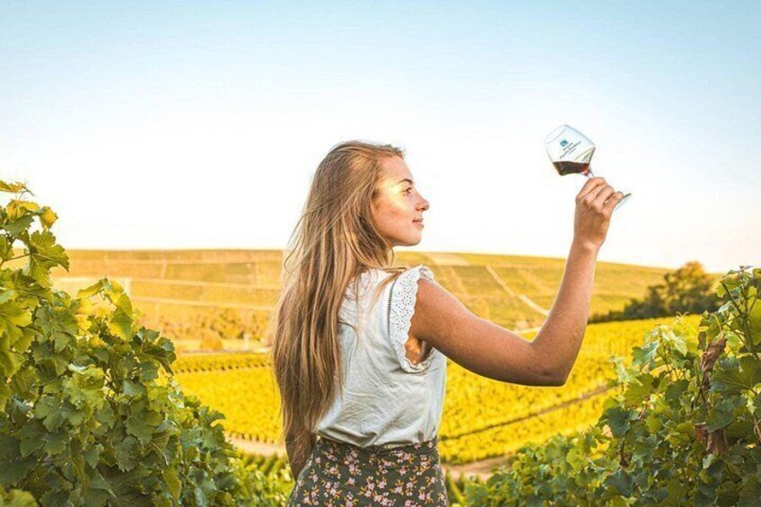 A person holding a wine glass in a vineyard. 1