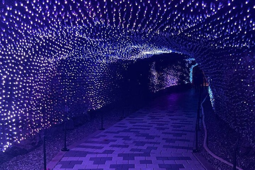 Starfield Suwon : Day Tour (Hwaseong Fortress, Gwangmyeong Cave) 2