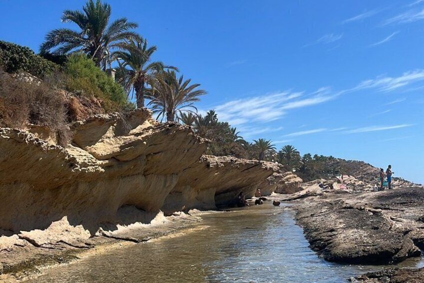 Alicante E-Bike Coast Tour with Román Fishpond and Snorkeling 3