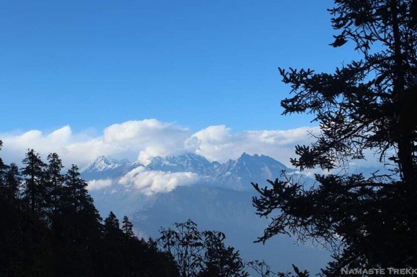A mountain range with snow-capped peaks, a clear blue sky, and forested foreground. 3