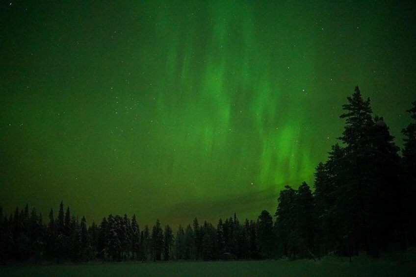 Nordlichter über einer bewaldeten Landschaft. 5