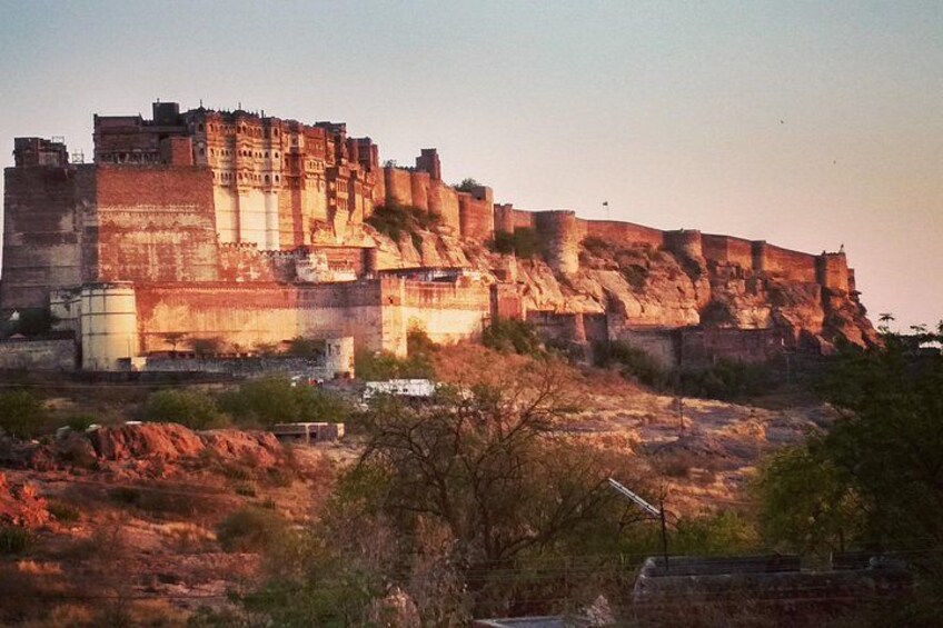 Jodhpur Walk With Kuku 4