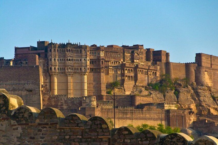 Jodhpur Walk With Kuku 2
