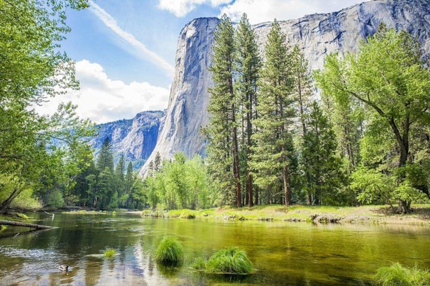 A river with trees and a mountain in the background. 5