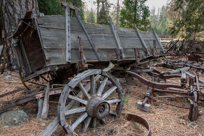 A dilapidated wooden cart with large wheels, surrounded by trees and pine needles. 4