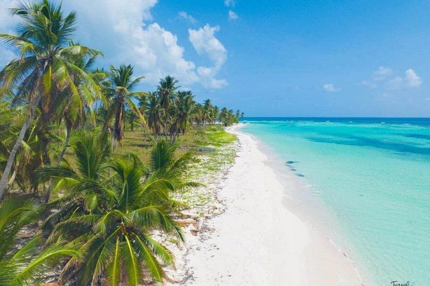 Saona Island Caramaran Adventure from Punta Cana With Lunch 5