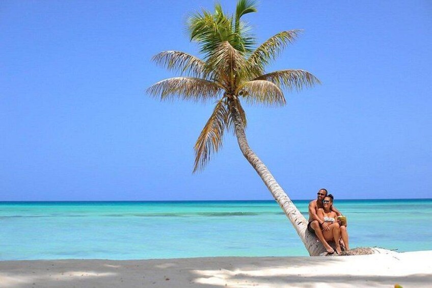 Saona Island Caramaran Adventure from Punta Cana With Lunch 2