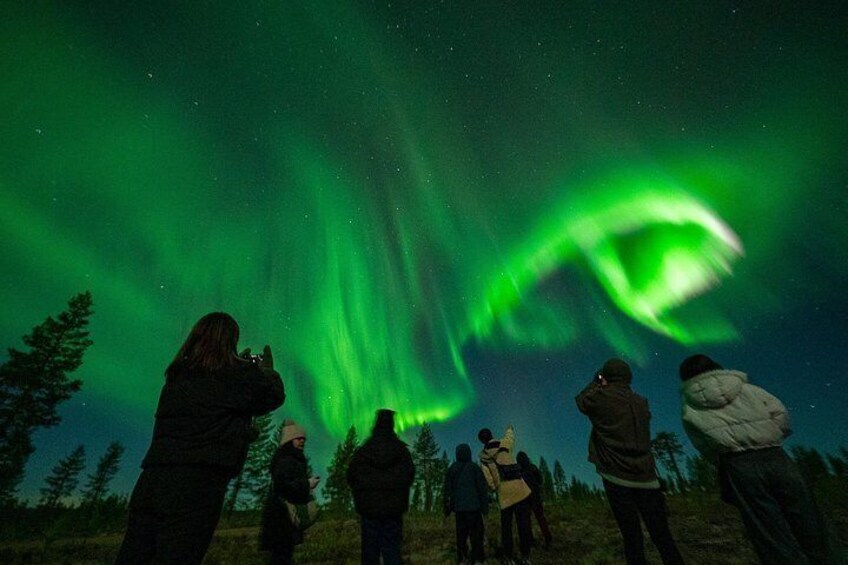 Rovaniemi:%100 Guaranteed Northern Lights Hunt&Free Photos 2