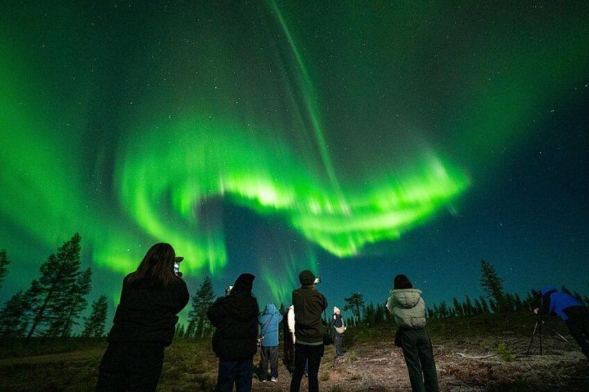 Rovaniemi:%100 Guaranteed Northern Lights Hunt&Small Group 2