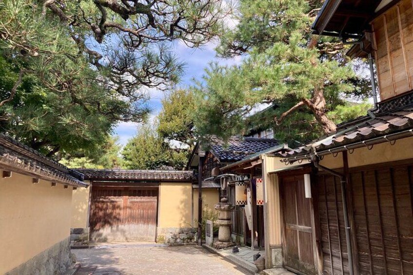 A traditional Japanese courtyard with wooden buildings, a stone lantern, and a large tree. 2