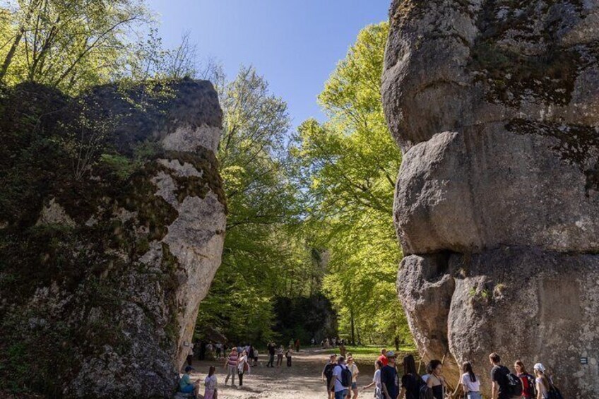 Un'area boschiva con formazioni rocciose imponenti e persone che camminano su un sentiero. 2