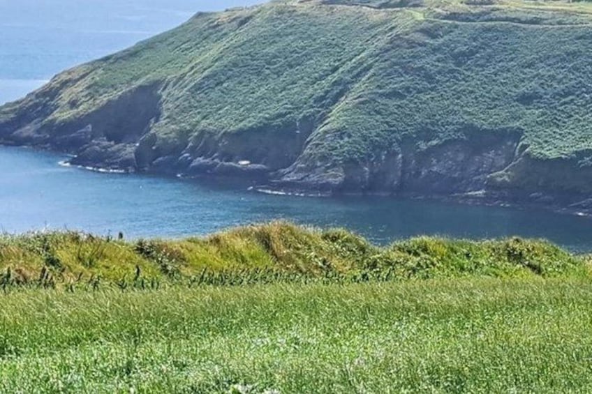 Un paisaje costero con colinas cubiertas de hierba y una masa de agua. 5