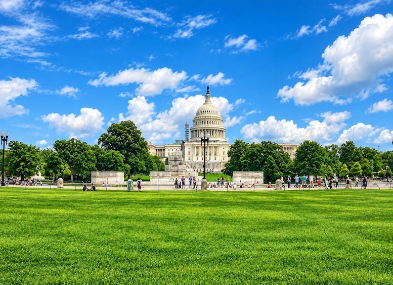Picture 11 for Activity Washington DC: City Sightseeing Tour 3
