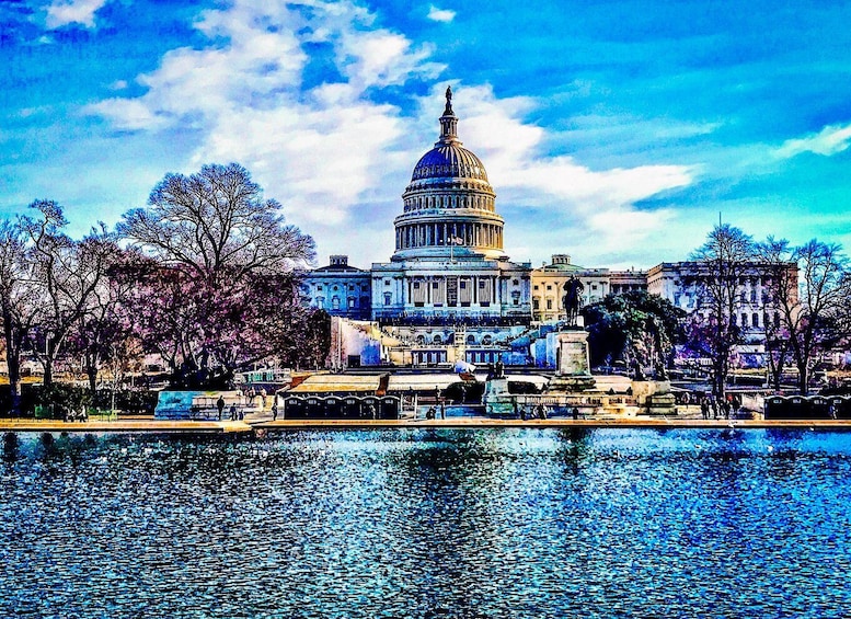 Picture 11 for Activity Washington DC: City Sightseeing Tour 3