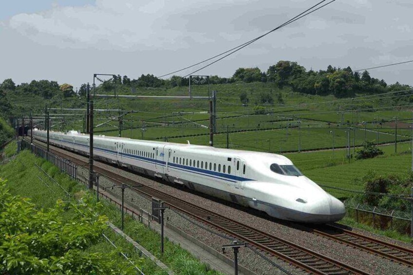 Un tren de alta velocidad sobre rieles, rodeado de vegetación. 4