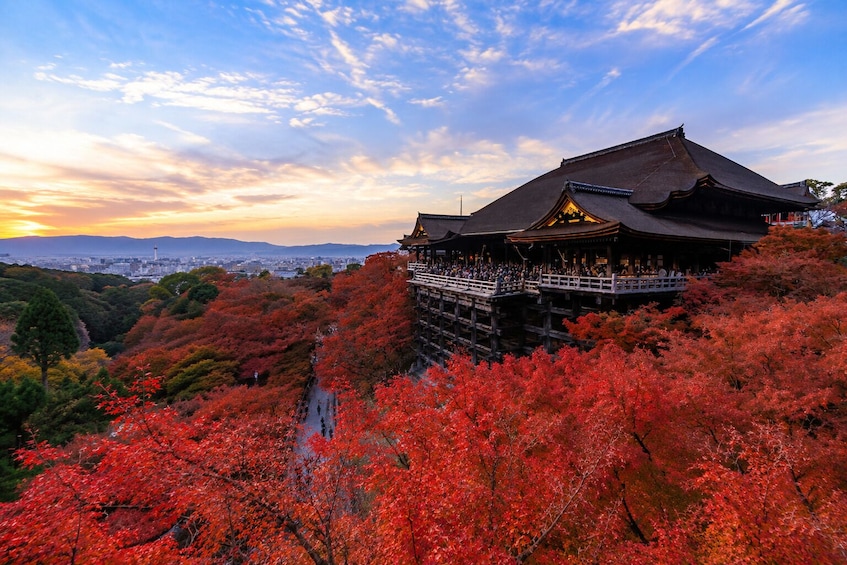 From Osaka/Kyoto: Kyoto UNESCO World Heritage Sites Day Tour 1