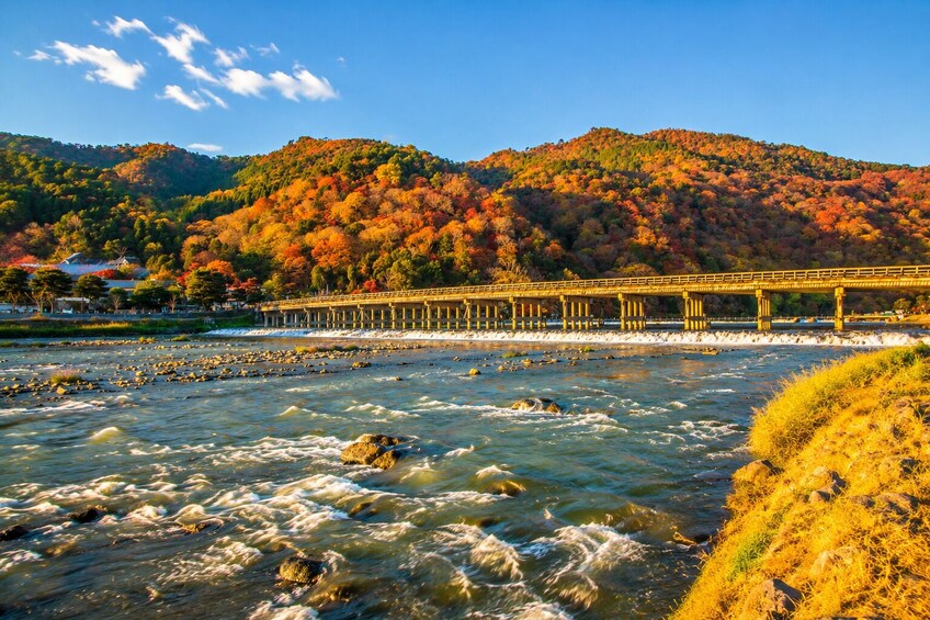 From Osaka/Kyoto: Kyoto UNESCO World Heritage Sites Day Tour 3