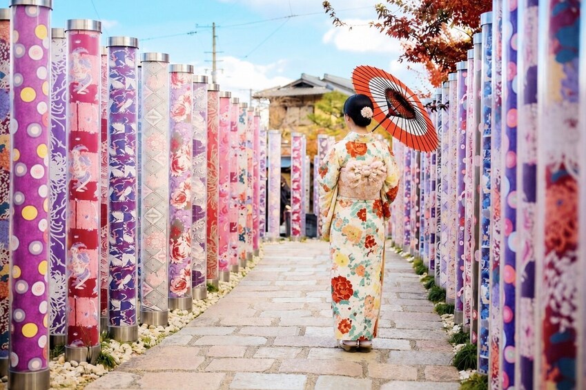 From Osaka/Kyoto: Kyoto UNESCO World Heritage Sites Day Tour 2