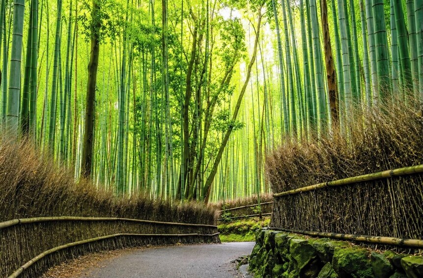 From Osaka/Kyoto: Kyoto UNESCO World Heritage Sites Day Tour 4