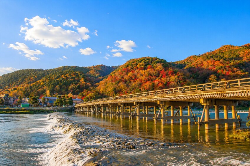 From Osaka/Kyoto: Kyoto UNESCO World Heritage Sites Day Tour 5