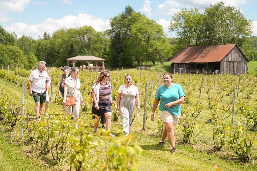 Petite Nation Wine & Cider Tour - Day Trip From Ottawa & Gatineau 4