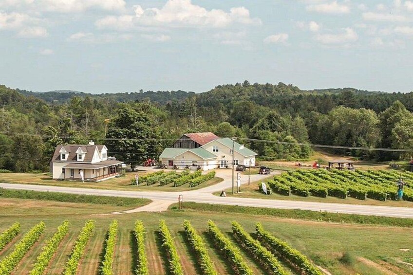 Petite Nation Wine & Cider Tour - Day Trip From Ottawa & Gatineau 3