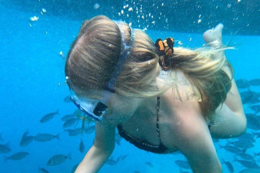 En person under vandet med snorkel, omgivet af fisk. 2