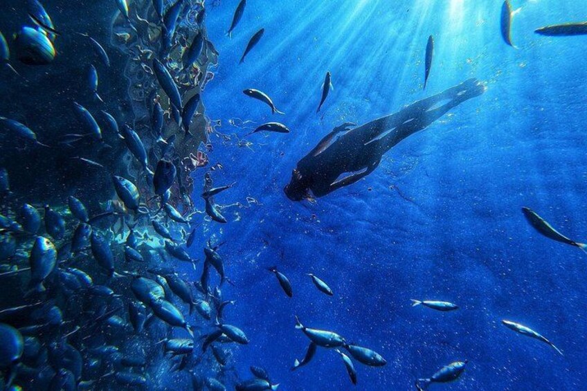 Snorkelling in the bay of El Perchel 5