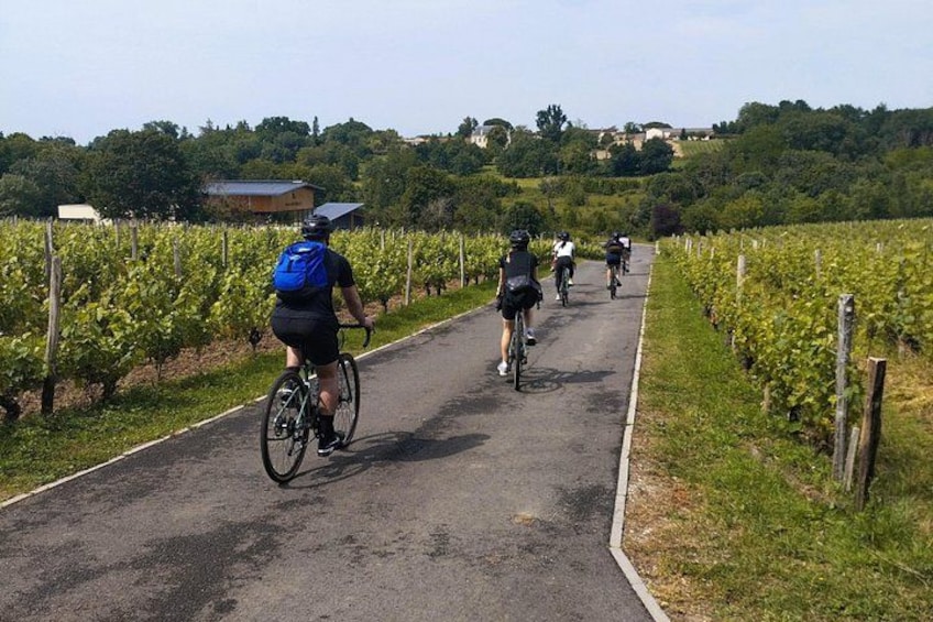 Un chemin pavé, bordé de vignes, où l’on croise des cyclistes. 1