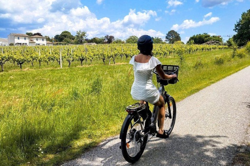 Une personne à vélo sur un chemin goudronné traversant un vignoble. 3