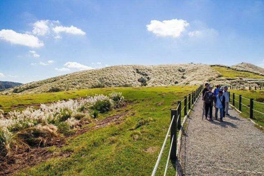 5-Hour Vegetarian Private Tour - Visit Yangmingshan and Taste Veggie Cuisine 1