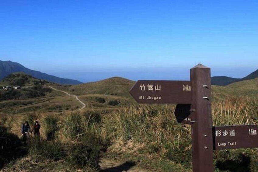 Yangmingshan National Park 2