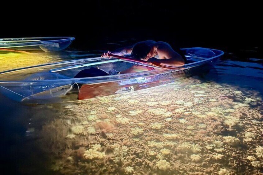 Une personne dans un kayak sur une étendue d’eau, avec d’autres kayaks à proximité. 1