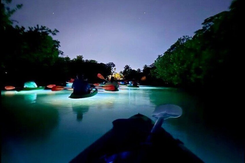 Guided Night Kayak Adventure Tour in Luminous Lagoon 3