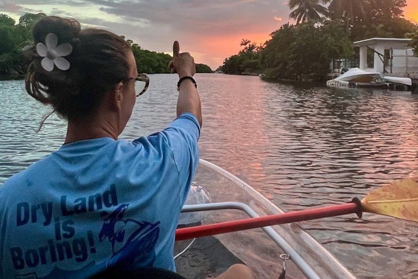 Guided Night Kayak Adventure Tour in Luminous Lagoon 2