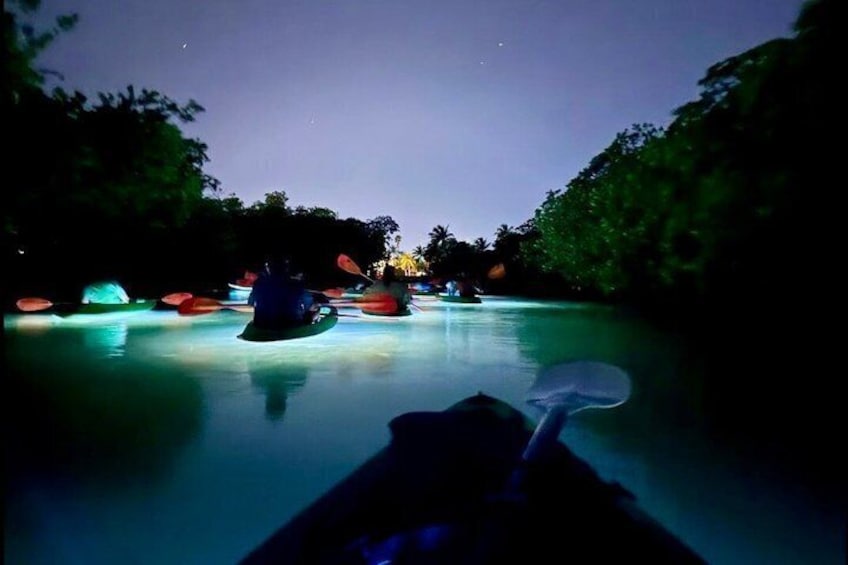 A nighttime water activity with illuminated rafts and a clear sky. 5