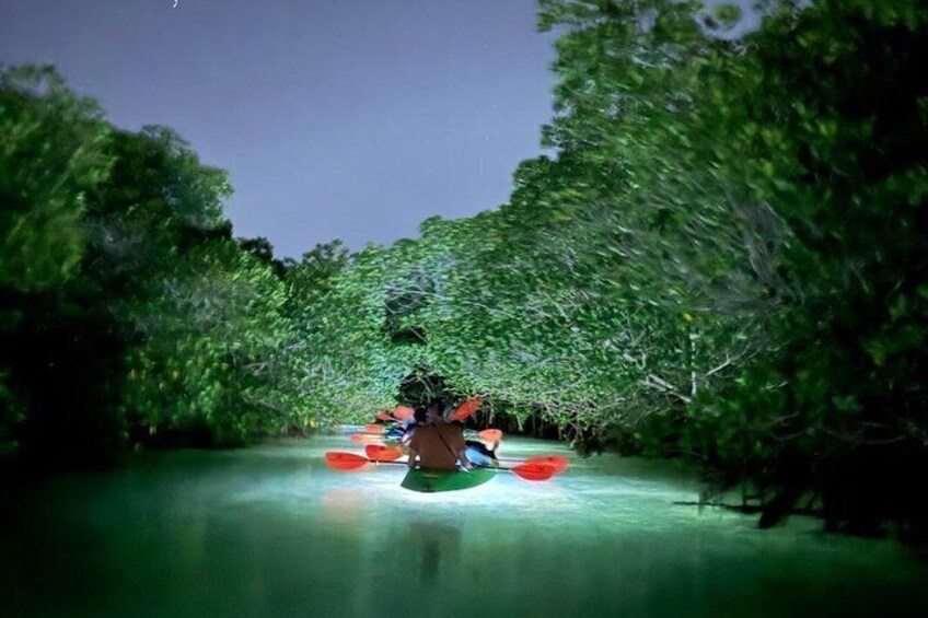 Guided Night Kayak Adventure Tour in Luminous Lagoon 4