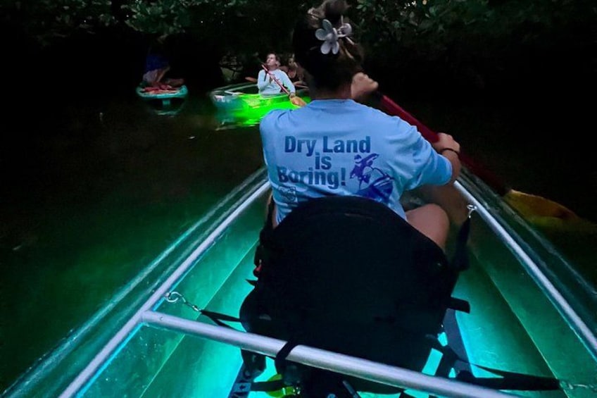 Guided Night Kayak Adventure Tour in Luminous Lagoon 3