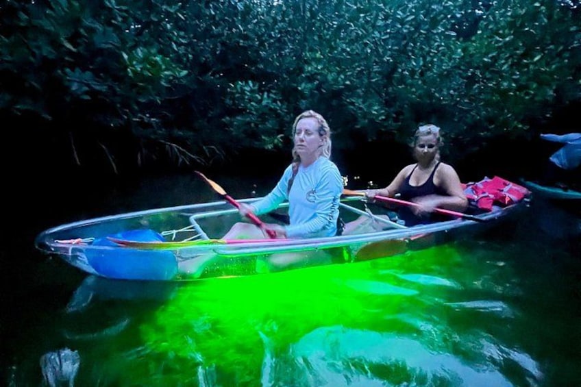 Guided Night Kayak Adventure Tour in Luminous Lagoon 4